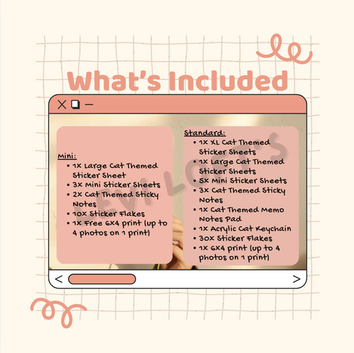 Cat Themed Stationery Mystery Box